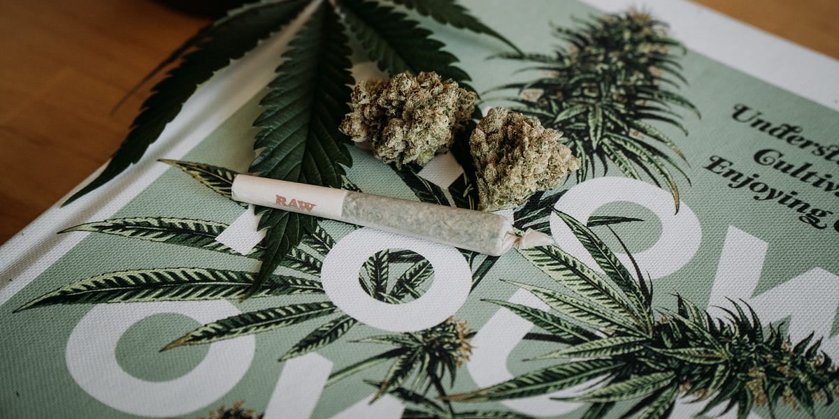 GanjaMingle: Where Cannabis Culture Meets Real Connection